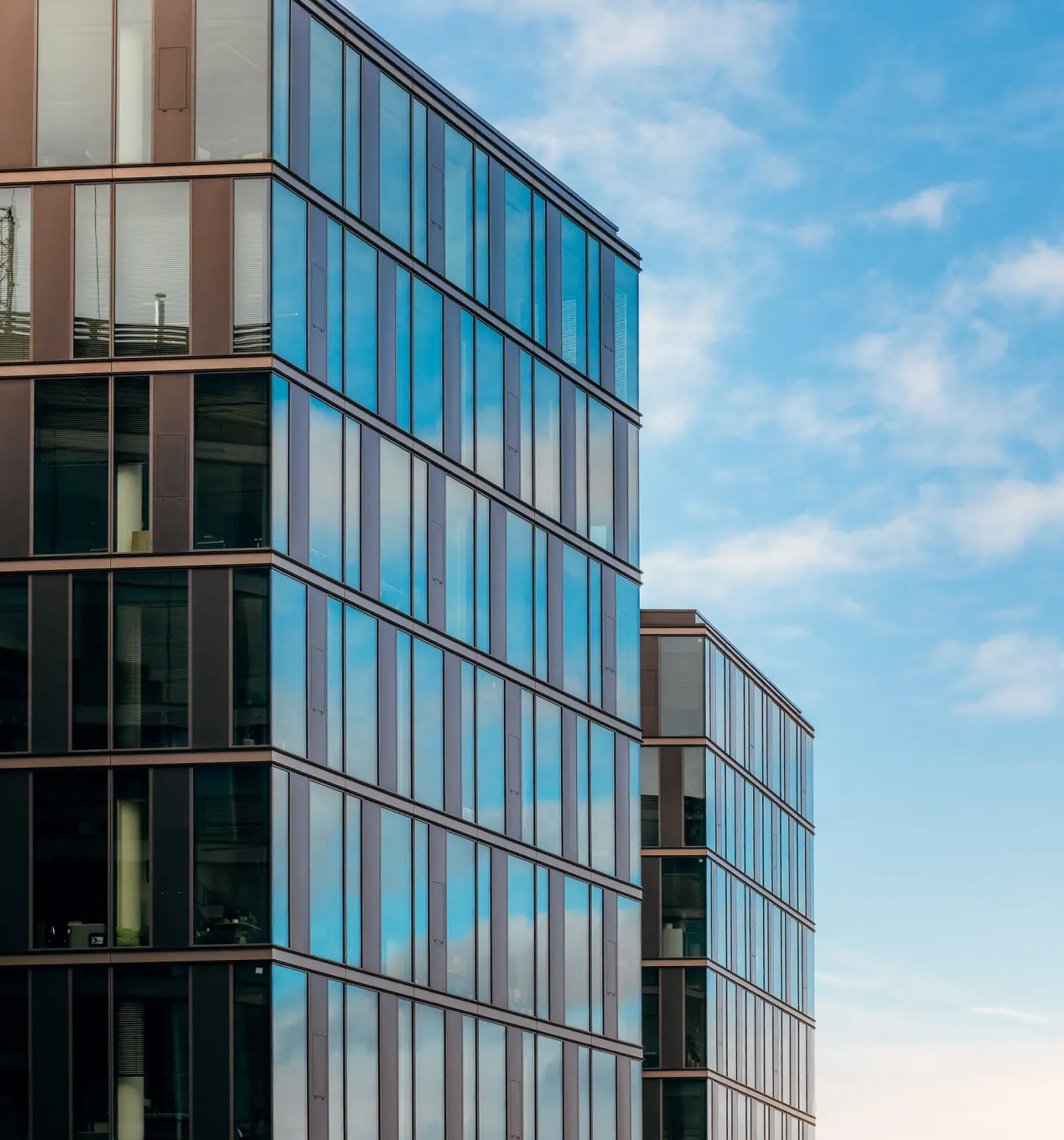 The Best Spot In Town Digital Park